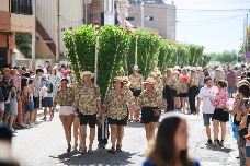 Bétera, donde las plantas tocan el cielo: así es el culto ancestral de las 'alfàbegues' que une a todo un pueblo
