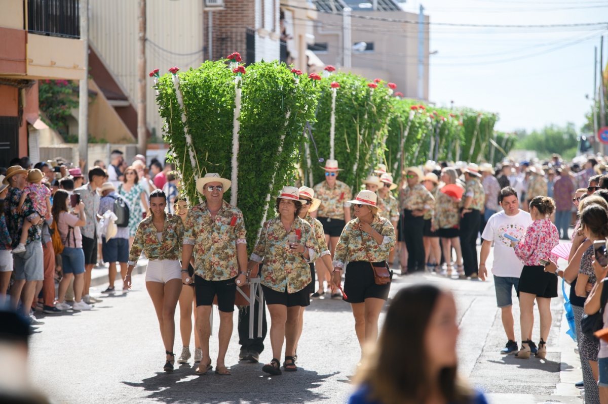 Bétera, donde las plantas tocan el cielo: así es el culto ancestral de las 'alfàbegues' que une a todo un pueblo