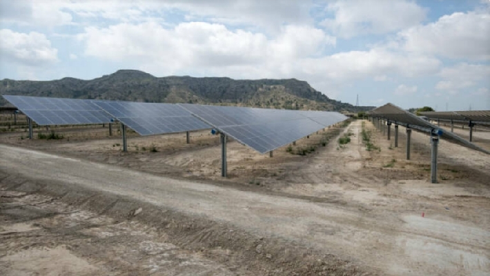 La megaplanta de 99 MW de Castalla solicita la utilidad pública para 'acelerar' su implantación