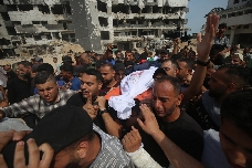 Palestina duele