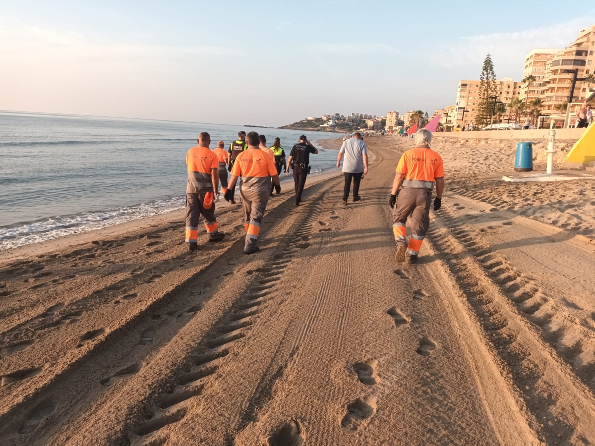 Oropesa vela por sus espacios públicos y retira 35 sillas y 29 sombrillas abandonadas en la playa