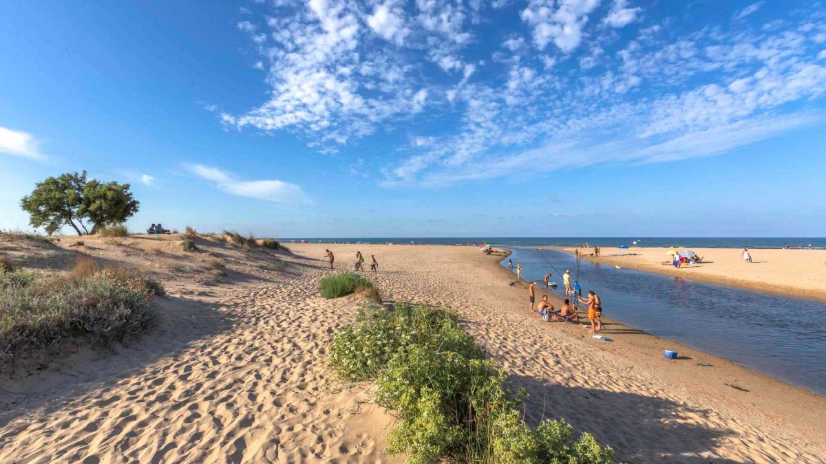 La playa de Oliva. - Foto: TURISME COMUNITAT VALENCIANA La playa de Oliva.