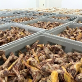 El capital murciano entra en la firma de Guardamar de alimento para mascotas Mediterranean Natural