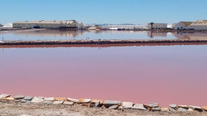 Sendero de las Encañizadas - Foto: TURISMO REGIÓN DE MURCIA Sendero de las Encañizadas