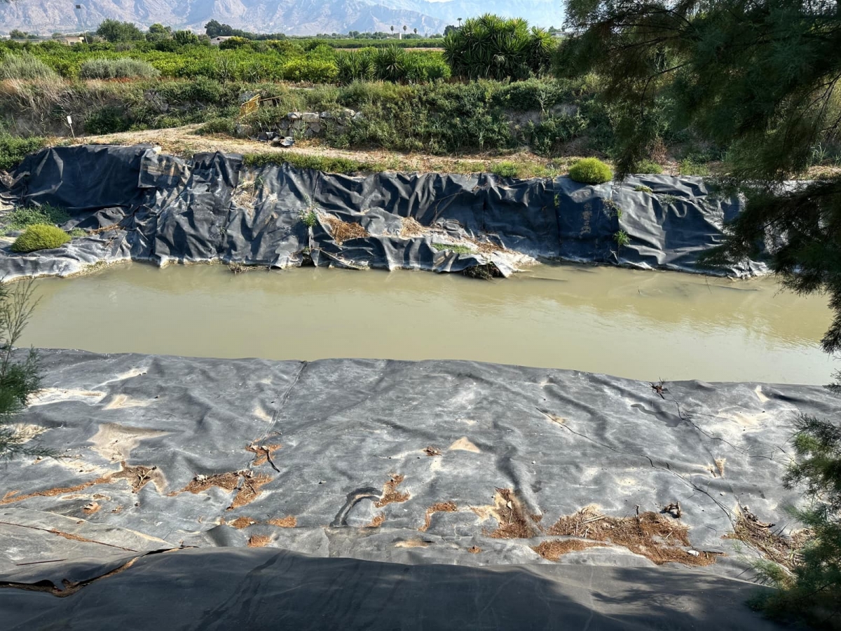  - Foto: AYUNTAMIENTO DE MURCIA