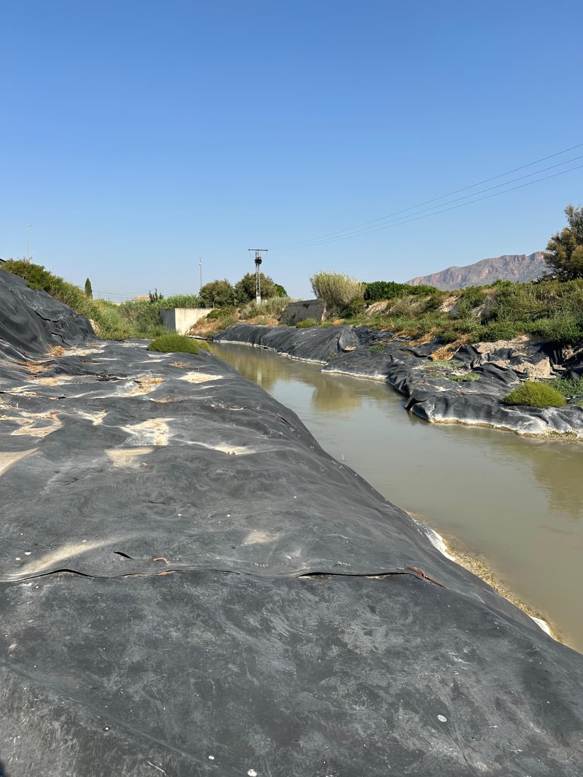  - Foto: AYUNTAMIENTO DE MURCIA