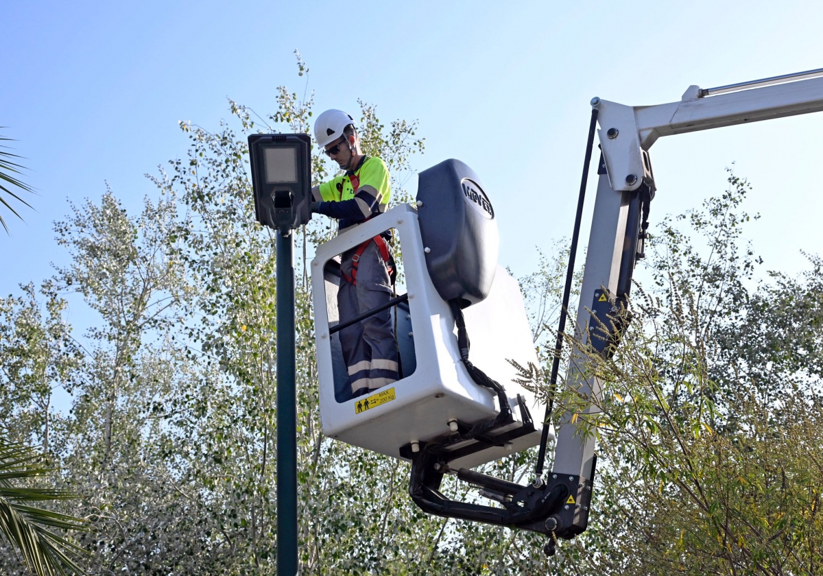 Nuevo alumbrado en la mota del Río Segura. - Foto: AYTO MURCIA