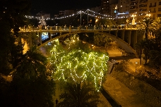 Final de las fiestas en Elche... y ya preparan la iluminación de 400 palmeras y árboles para Navidad 