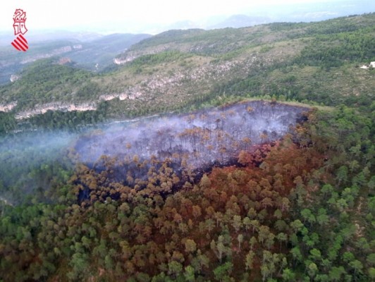 Bomberos dan por controlado el incendio forestal de Bicorp