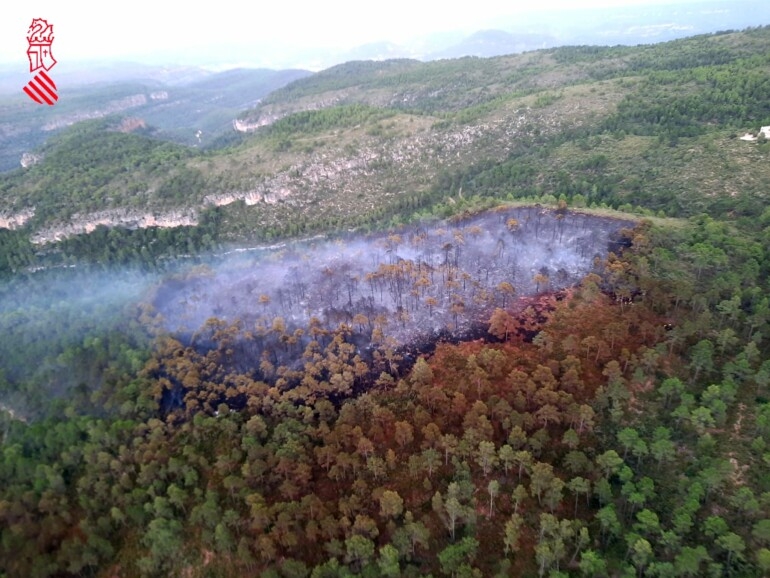 Bomberos dan por controlado el incendio forestal de Bicorp