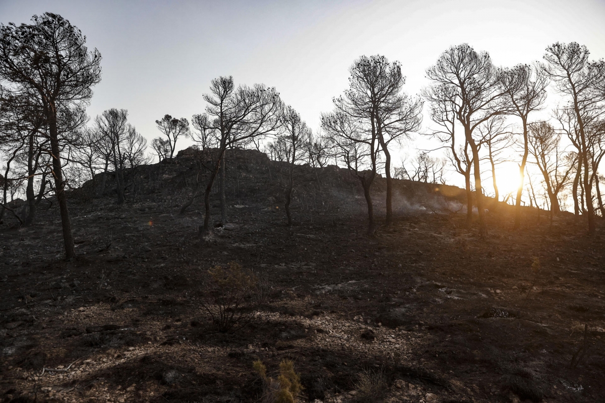 El incendio de Teresa de Cofrentes ya no tiene humo en todo su perímetro