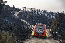 La Comunitat Valenciana registra 200 incendios forestales desde enero, 74 de ellos provocados por rayos