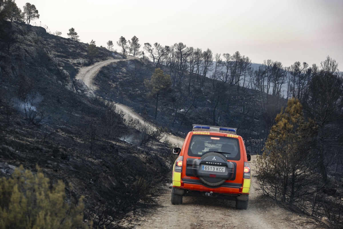 El Consell avala las medidas de Feijóo ante incendios: 