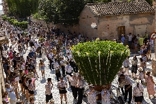 Fiesta de les Alfàbegues 2025 en Bétera