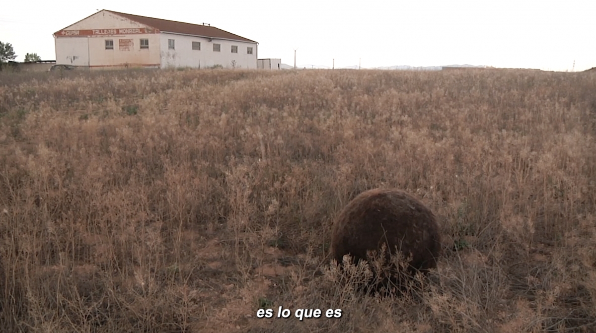 Frame de Es lo que es (una bola de pelo en este caso) 