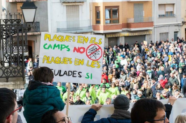 El Gobierno confirma el desistimiento de la promotora a la megaplanta solar Magda