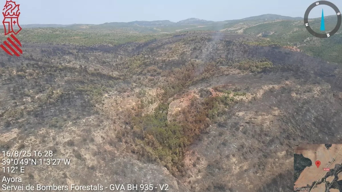 Extinguido el incendio forestal que ha obligado a desalojar varios chalés en Xàtiva