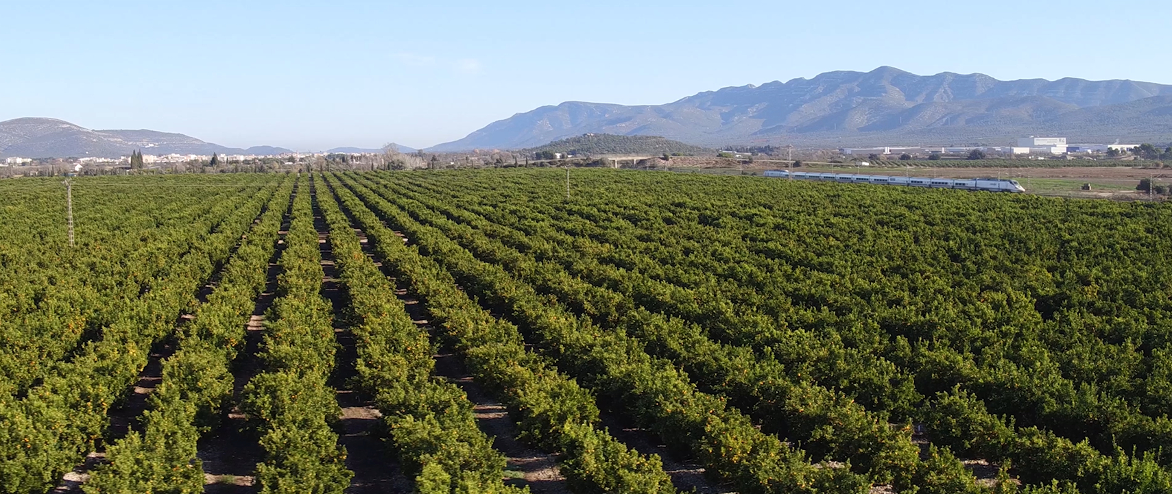 Fotos: GRUPO CLASOL - 