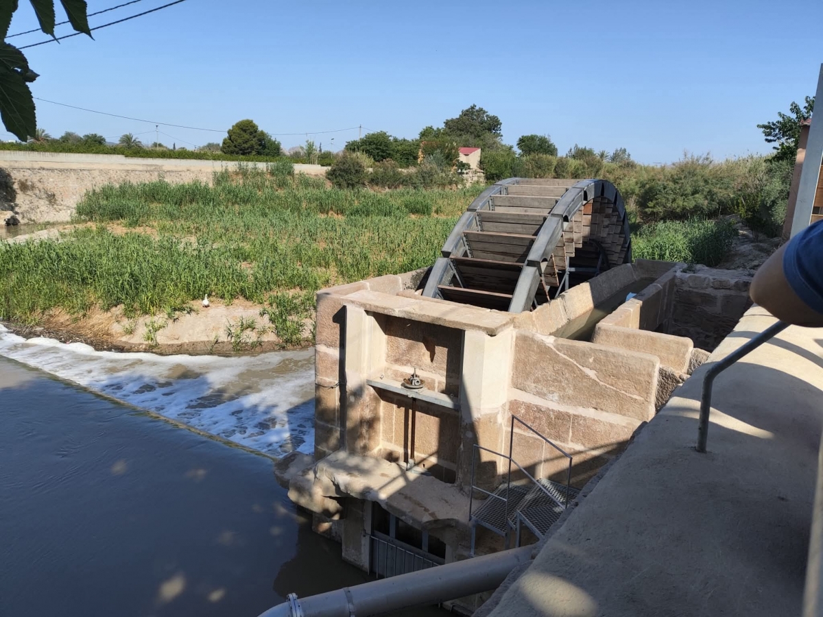 Orihuela prepara un proyecto integral para conservar las Norias Gemelas Moquita y Pando