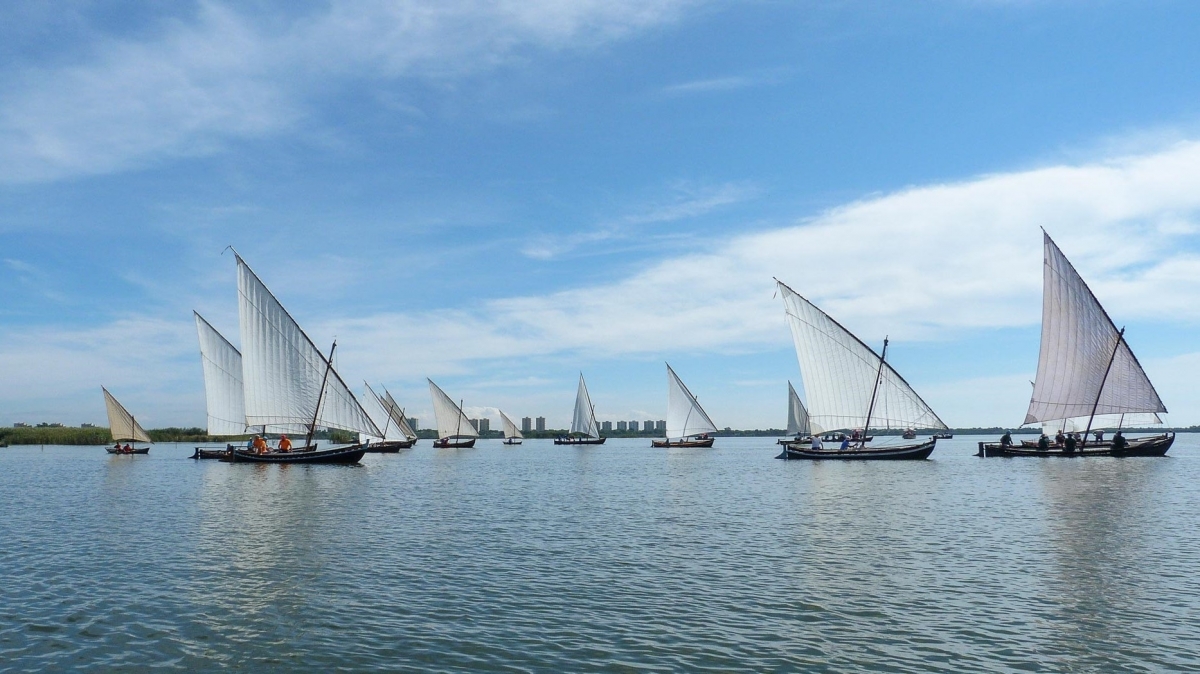 Devesa-Albufera autoriza dos nuevas exhibiciones de vela latina en el lago de l'Albufera