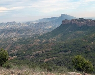 Los parques forestales de Murcia se ponen a punto: destinan cerca de medio millón para su cuidado