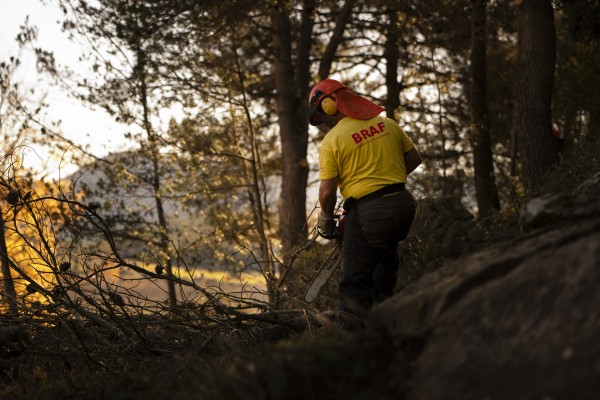 Un dispositivo con 750 efectivos, 200 vehículos y 5 medios aéreos refuerzan la lucha contra incendios en Castellón