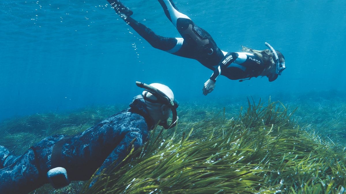 La Bluewave Alliance y la Asociación Vellmarí plantan más de 37.000 plantas de posidonia para proteger el Mediterráneo