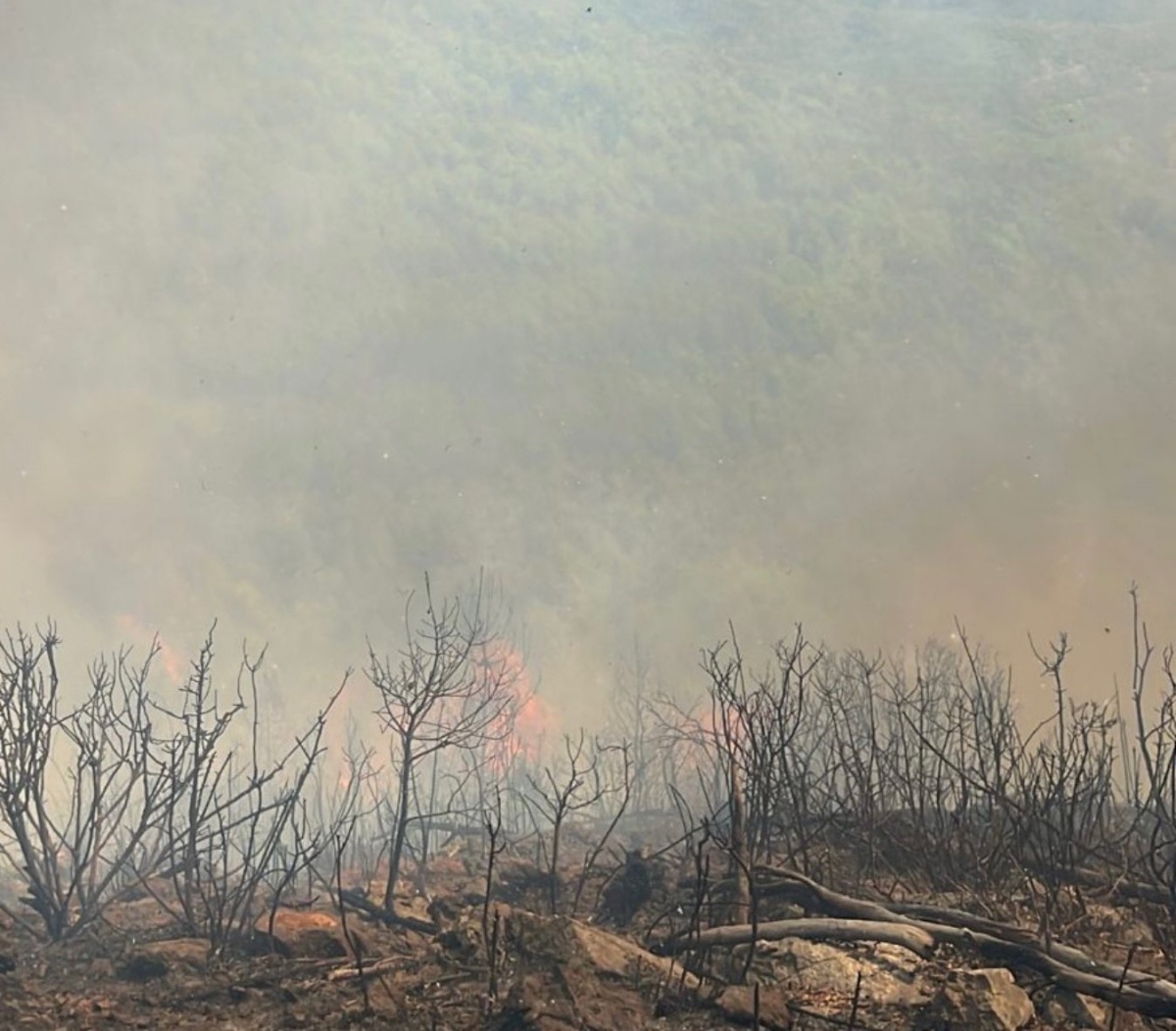  - Foto: BOMBEROS DIPUTIACIÓN CASTELLÓN vía X