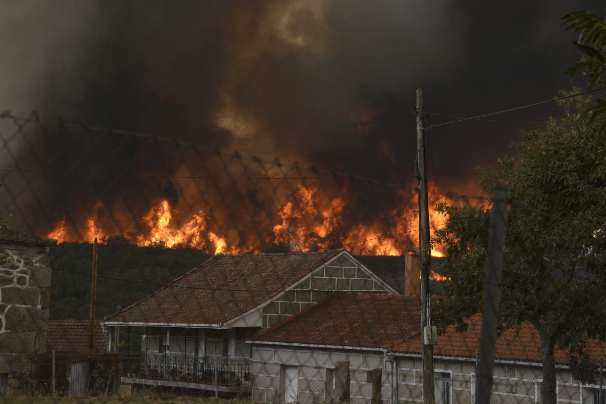 Incendio del 25 de agosto en un municipio de Ourense - Foto: Rosa Veiga/EP Incendio del 25 de agosto en un municipio de Ourense