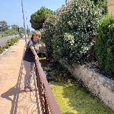 El PSPV exige al PP limpiar el Camí La Ratlla y atender las quejas vecinales