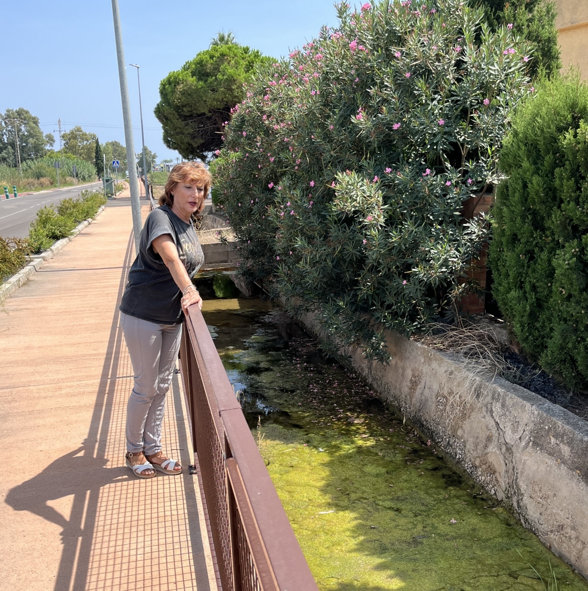 El PSPV exige al PP limpiar el Camí La Ratlla y atender las quejas vecinales