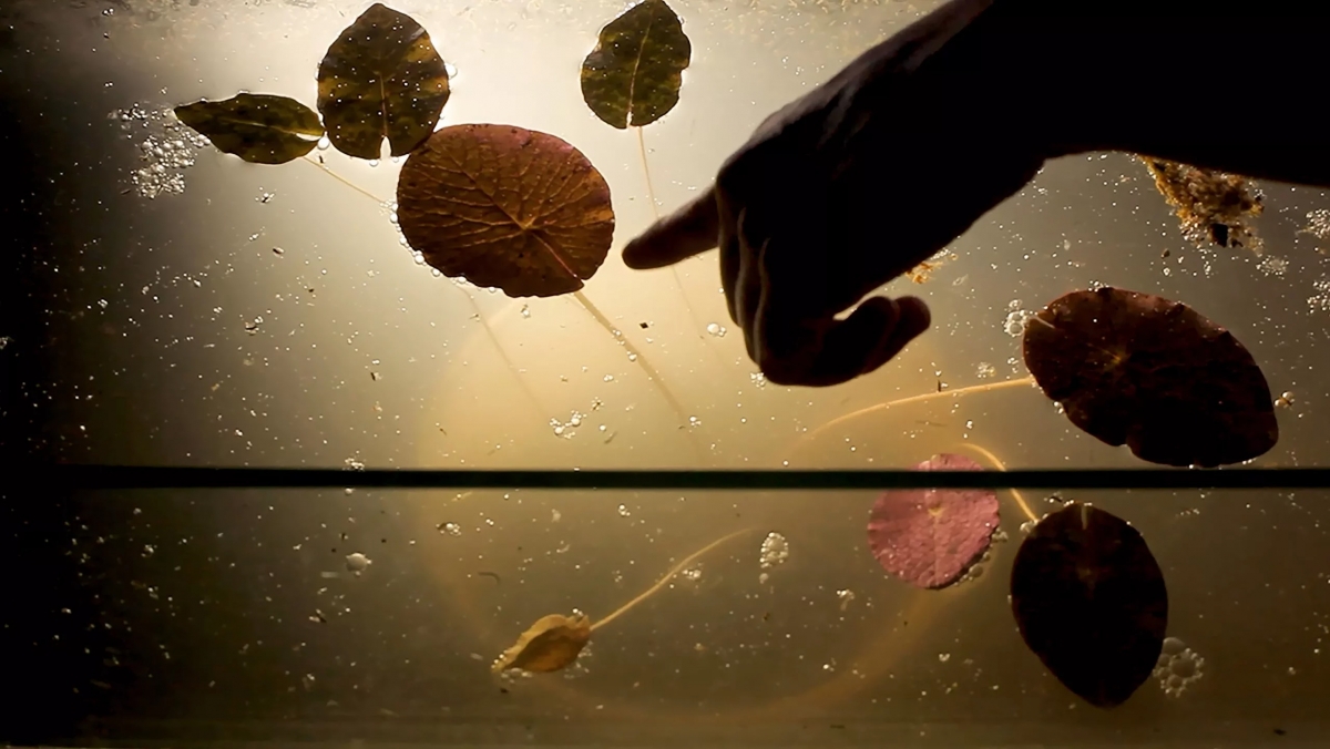 Candela Sotos 'deshoja' el archivo de Guillermo Zúñiga para entender los silencios tras la Guerra Civil