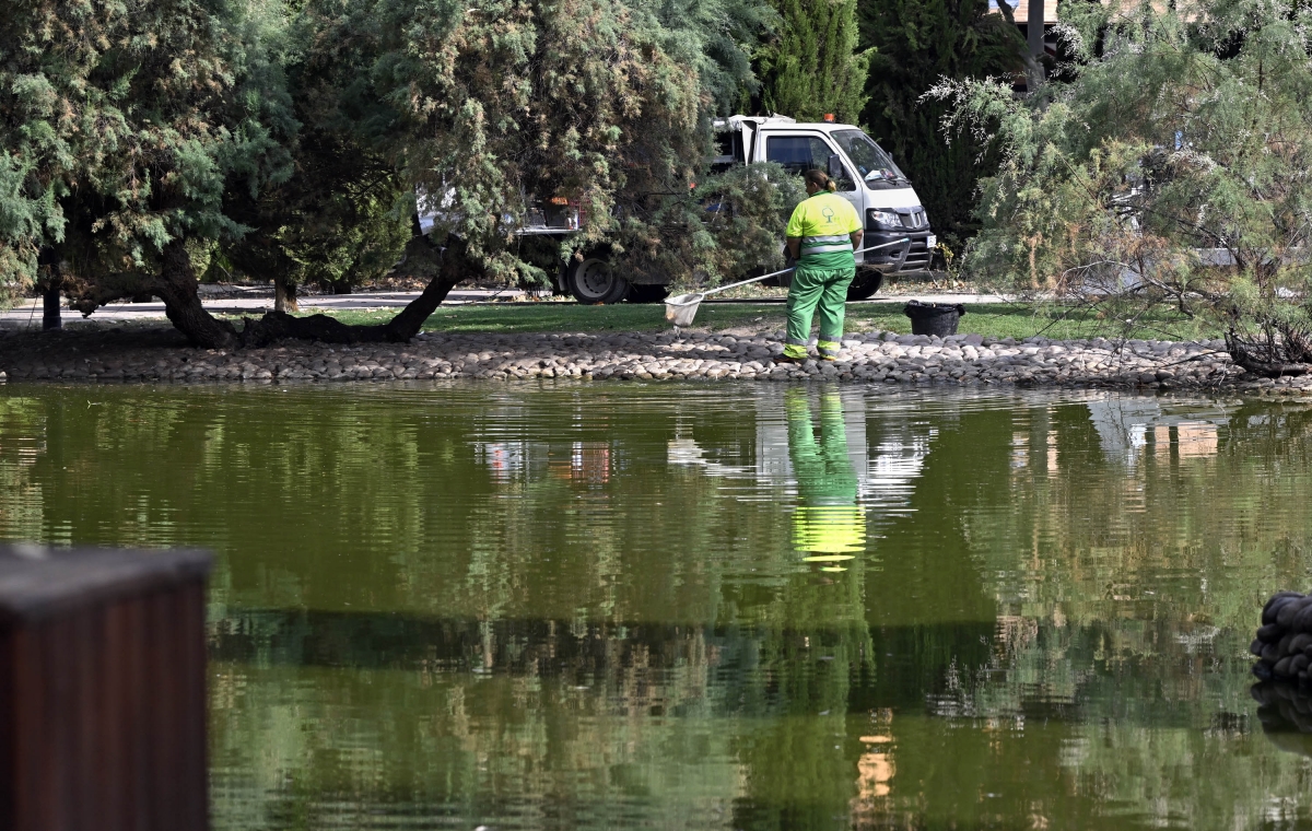 Murcia refuerza el cuidado de sus lagos y fuentes con una limpieza en profundidad