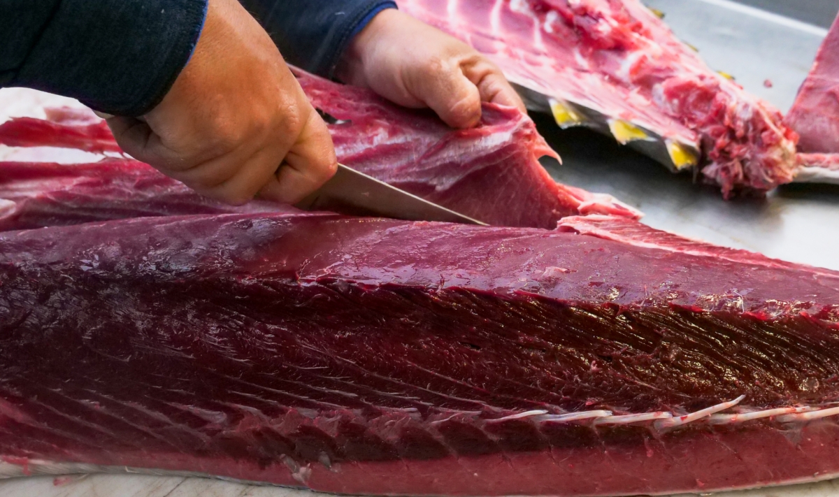 El ronqueo del atún, un despiece muy especial. - 