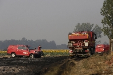 No té gens de gràcia