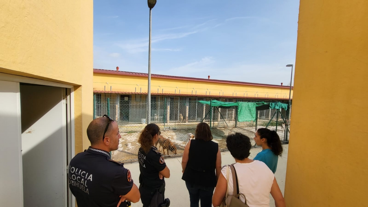 Sanidad destina 200.000 euros a la adecuación del Centro de Protección Animal de Orihuela