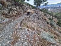 La Región potenciará la vigilancia en los montes de Lorca, Totana y Mazarrón para evitar incendios forestales
