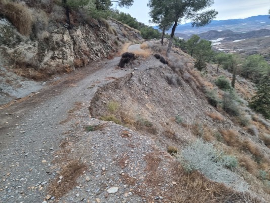 La Región potenciará la vigilancia en los montes de Lorca, Totana y Mazarrón para evitar incendios forestales