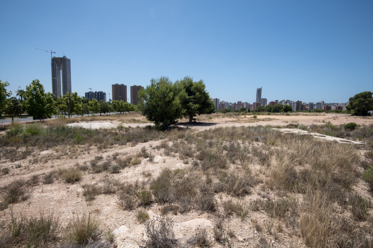 La zona del Murtal de Benidorm pendiente de desarrollar, en una imagen de archivo. 