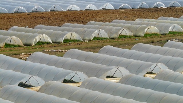 El Consell Agrari retira 19,6 toneladas de plásticos agrarios y mantas térmicas este verano