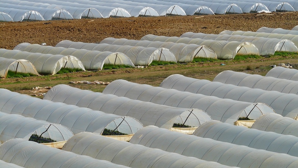 El Consell Agrari retira 19,6 toneladas de plásticos agrarios y mantas térmicas este verano