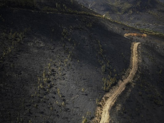 La naturaleza tiene una voz humana (bis)