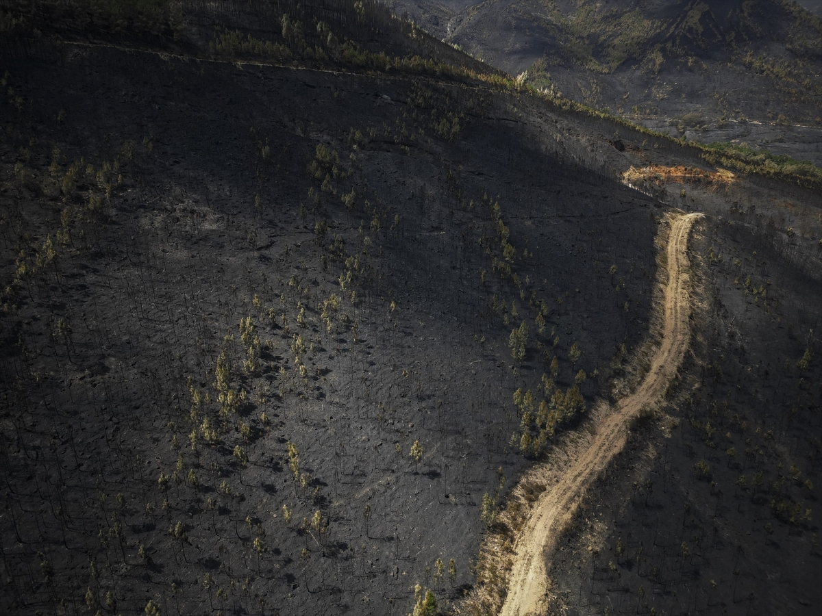 La naturaleza tiene una voz humana (bis)