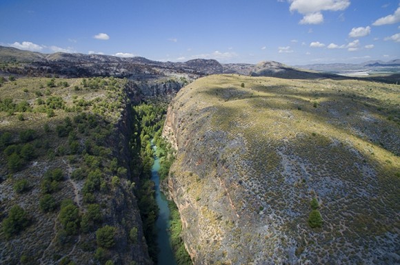 Un proyecto de inversión sostenible recuperará la masa forestal de Calasparra para absorber carbono