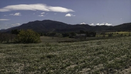 La Fiscalía abre investigación por la macroplanta que Iberdrola proyecta en Alcoy: reclama información a la Generalitat