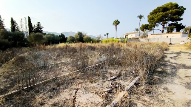 El PSOE de Benidorm urge al gobierno el reparto de los nuevos huertos urbanos de la zona de l'Horta