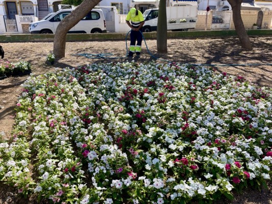 Torrevieja y Actúa activan mejoras en el mantenimiento de parques y jardines