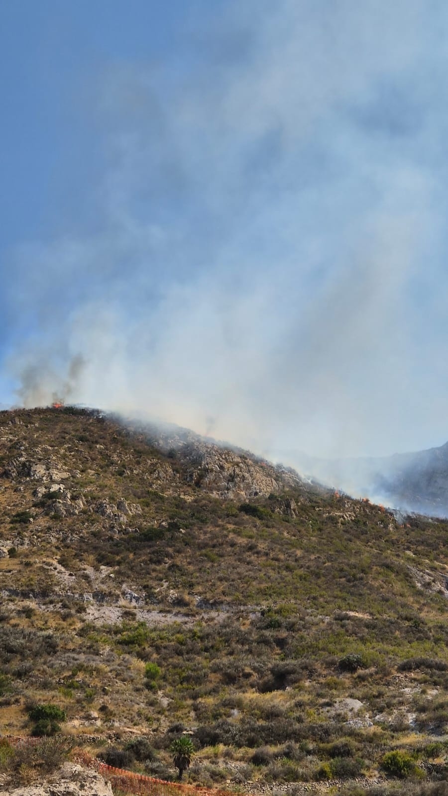  - Foto: AYTO CARTAGENA