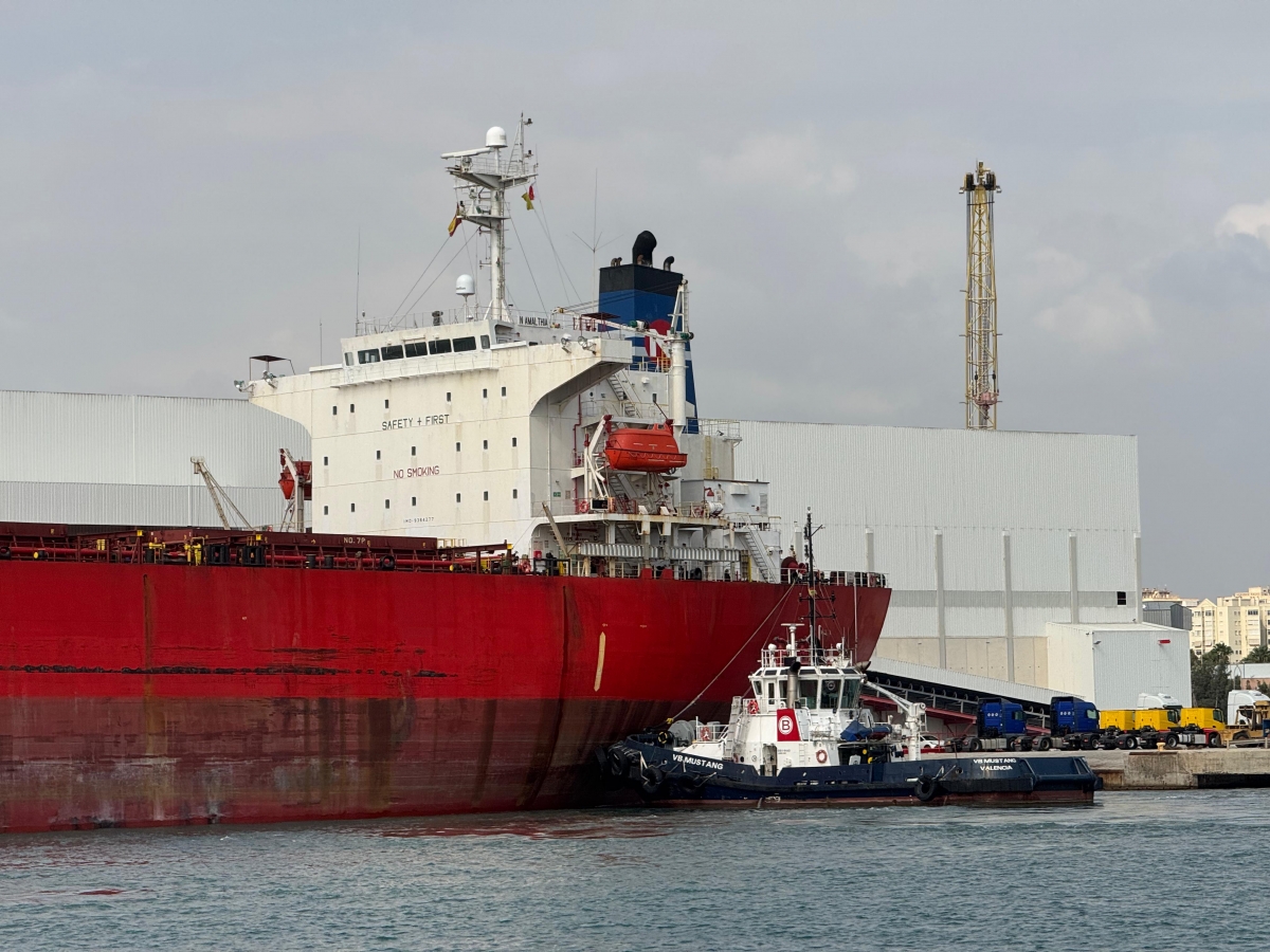 Un barco de graneles, en plena descarga, en el Puerto de Alicante. - 