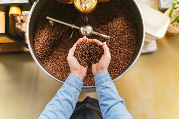 Bruselas pide retrasar el veto a las ventas de café, cacao o aceite de palma que causen deforestación
